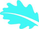 Hi! I’m  Christoher  UX designer - 星空体育直播APP