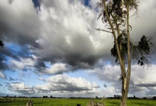 星空体育官网：34岁老将徐梦桃：下个目标米兰冬奥会！新晚报.