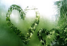 星空体育官网：斯诺克官宣！红包赛赛程揭晓：11局6胜，2天8场.