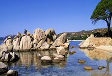 西甲前瞻：皇家贝蒂斯豪取5连胜，塞维利亚12场德比不败.